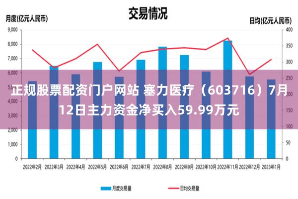 正规股票配资门户网站 塞力医疗（603716）7月12日主力资金净买入59.99万元