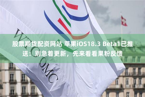 股票期货配资网站 苹果iOS18.3 Beta1已推送：别急