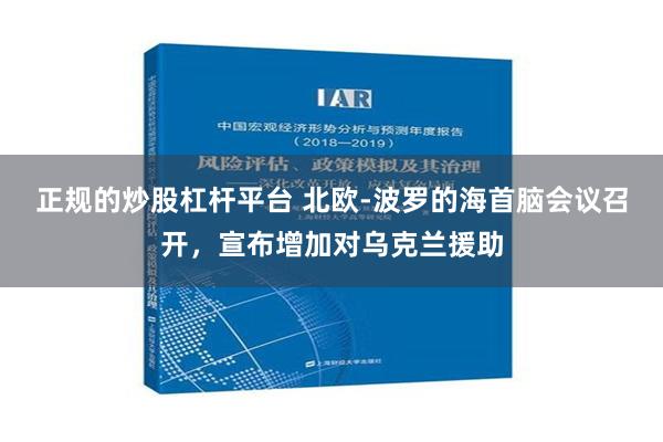 正规的炒股杠杆平台 北欧-波罗的海首脑会议召开，宣布增加对乌