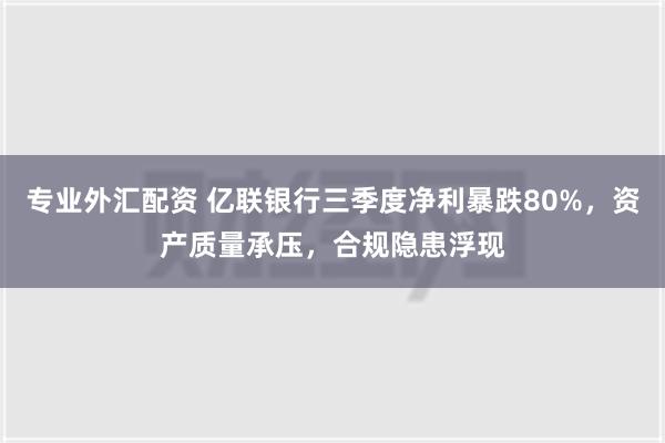 专业外汇配资 亿联银行三季度净利暴跌80%，资产质量承压，合