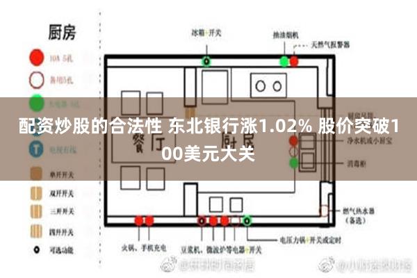 配资炒股的合法性 东北银行涨1.02% 股价突破100美元大