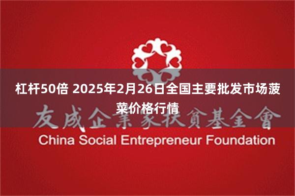 杠杆50倍 2025年2月26日全国主要批发市场菠菜价格行情