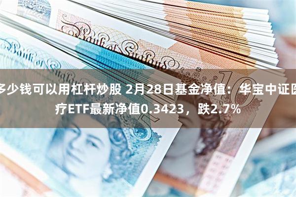 多少钱可以用杠杆炒股 2月28日基金净值：华宝中证医疗ETF